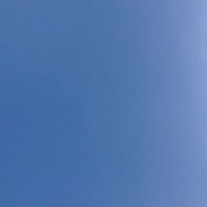 Meet your Posher, Trevor